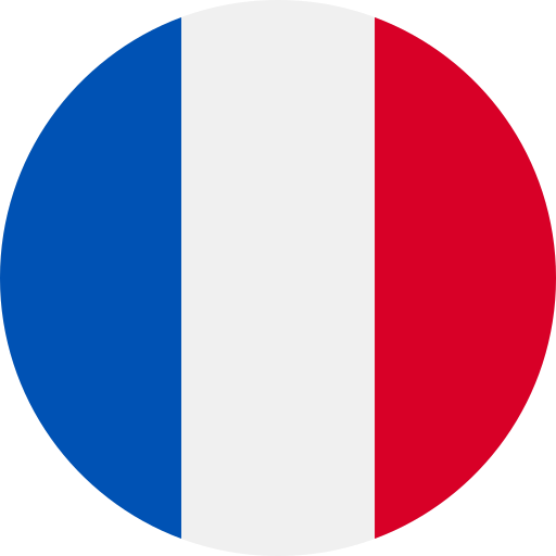 Francia Bandera Francia